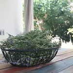Orkeli Casa 빌라 Pláka