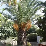 빌라 Orkeli Casa *