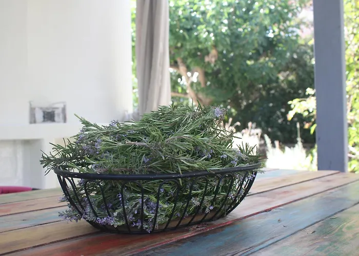 Orkeli Casa Villa Pláka